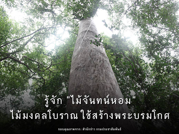 รวมพระราชดำรัสพระบาทสมเด็จพระเจ้าอยู่หัว

รัชกาลที่ ๙ 