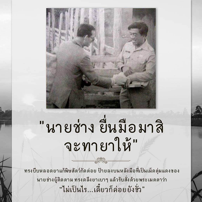รวมพระราชดำรัสพระบาทสมเด็จพระเจ้าอยู่หัว

รัชกาลที่ ๙ 
